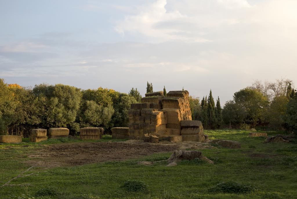 Cuevas Del Pino Turismo Rural Y Emocional Sl Villarrubia Dış mekan fotoğraf