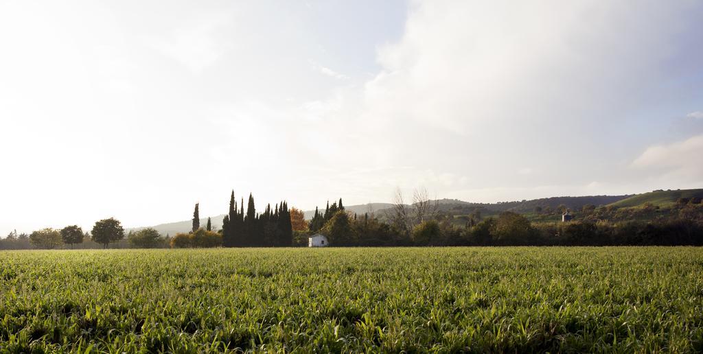 Cuevas Del Pino Turismo Rural Y Emocional Sl Villarrubia Dış mekan fotoğraf